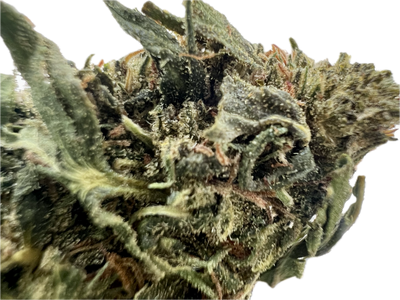 Ripkitty Forbidden V CBD Hemp Flowers