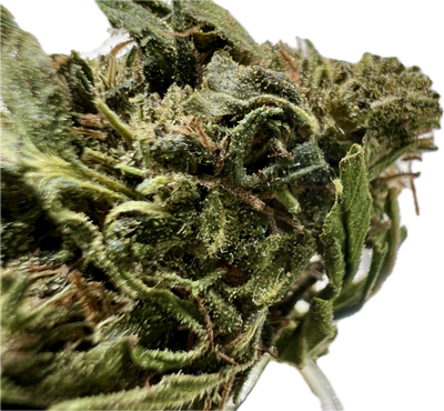 Ripkitty Forbidden V CBD Hemp Flowers