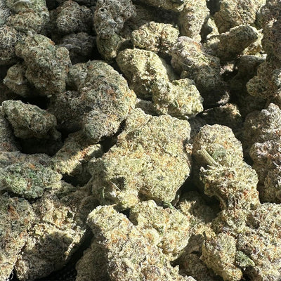 Canvast Premium Indoor THCA Flower | 3.5g