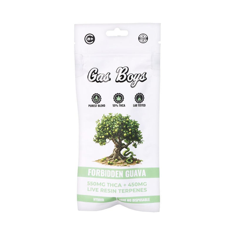 Gas Boys THCA Disposable Vape | 1g | 10ct Display - 550mg THCA + 450mg live resin terpenes, hybrid flavor.