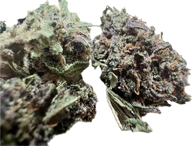 Ripkitty Legendary Platinum OG CBD Hemp Flowers