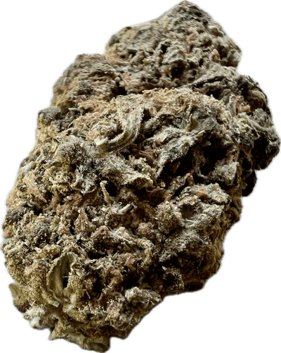 Close-up of Ripkitty Runtz OG THCA hemp flower showcasing its premium hybrid profile and rich texture.