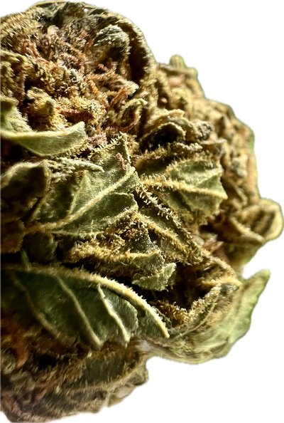 Ripkitty Crack Smuggler THCA Hemp Flowers