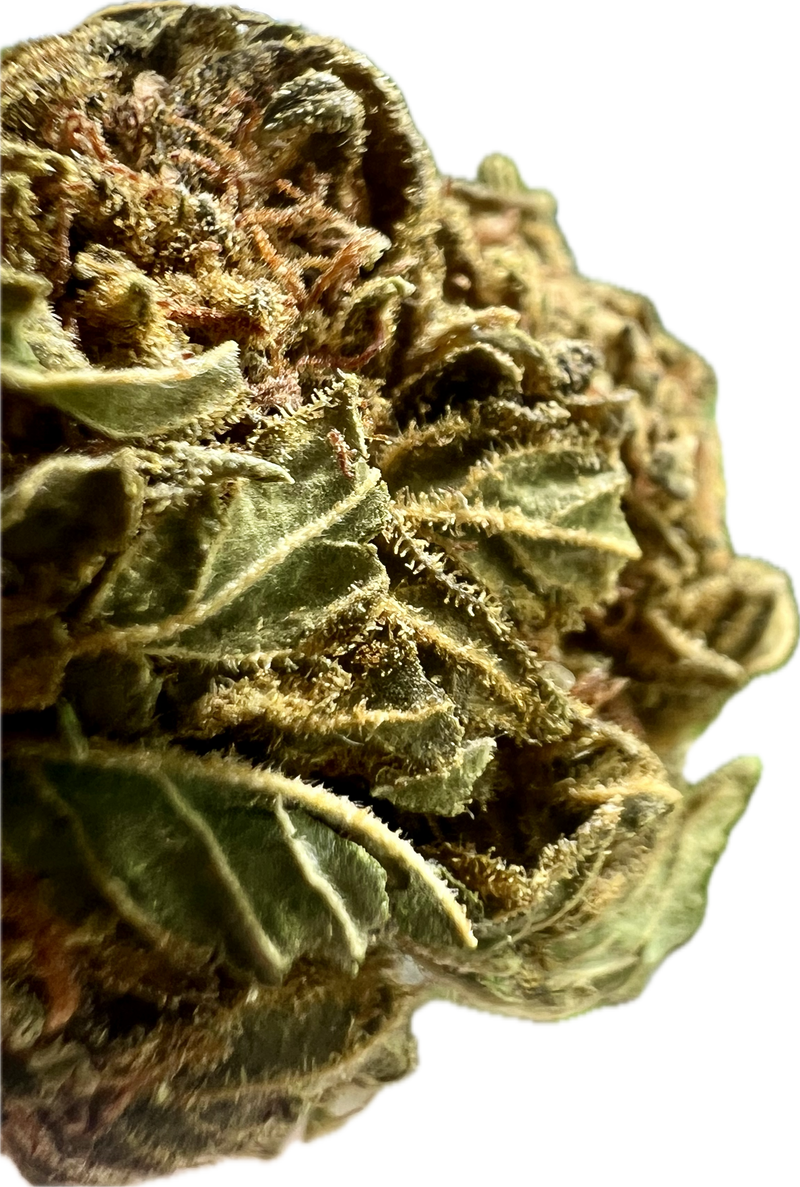 Ripkitty Crack Smuggler THCA Hemp Flowers