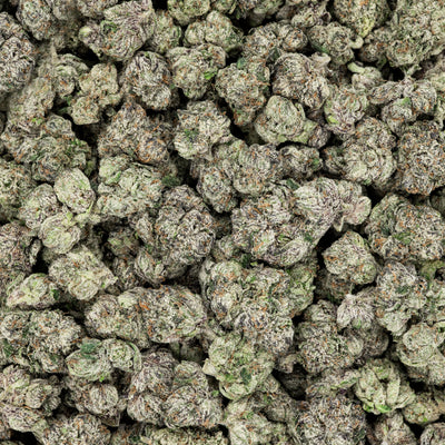 Revelry Frosted Runtz THCA Flower (AAA Indoor)