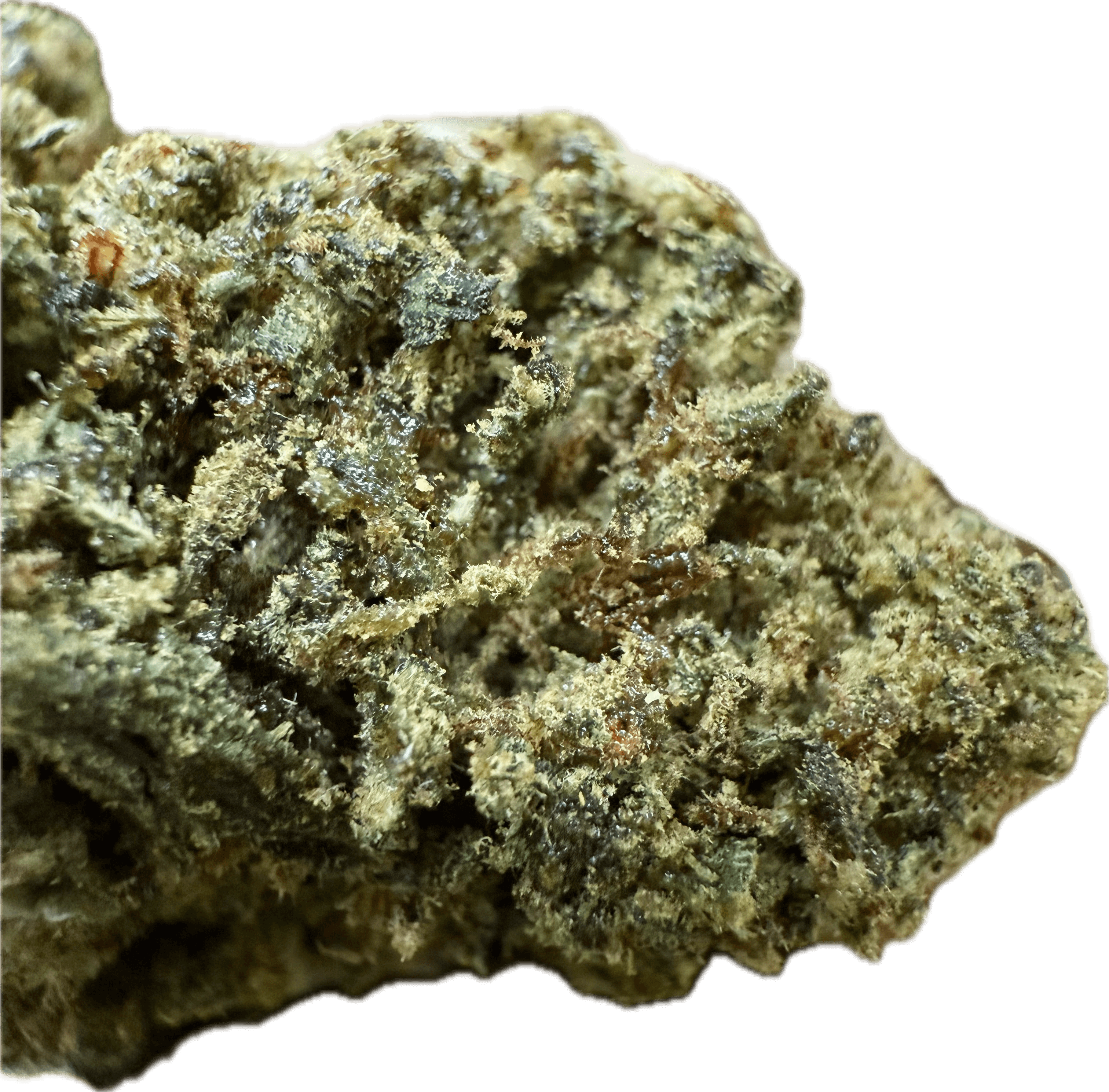 Ripkitty Bubba Kush 59 HHC Hemp Flowers