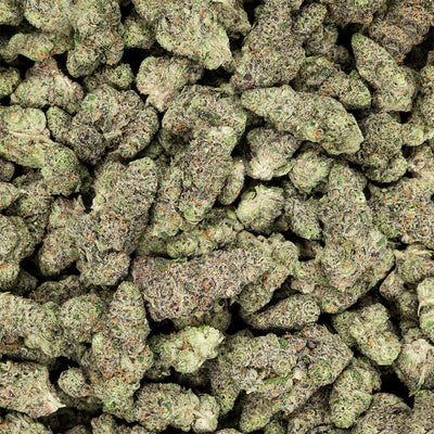 Revelry Premium Indoor THCA Flower | 3.5g