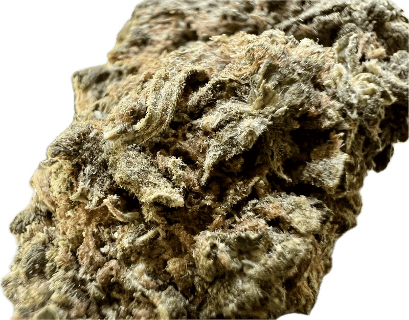 Close-up of Ripkitty Runtz OG THCA hemp flowers showcasing premium hybrid quality and rich cannabinoid profile.