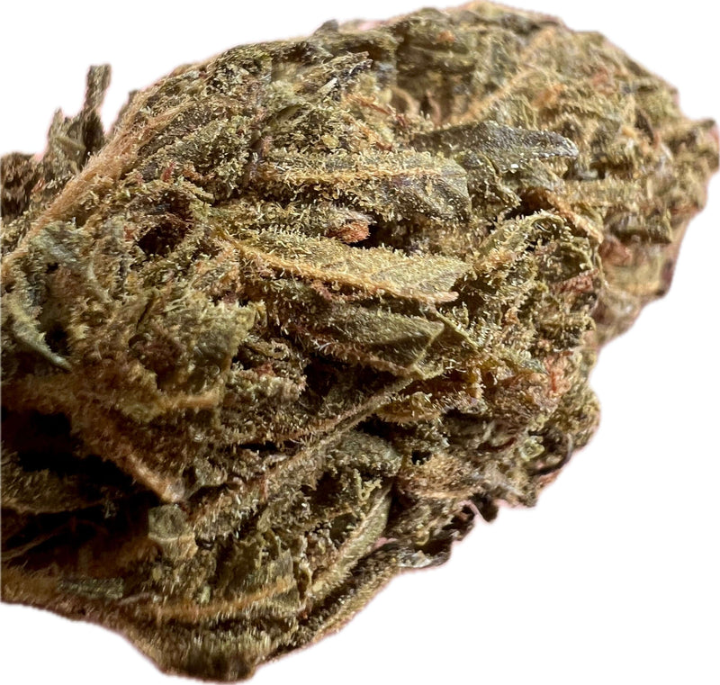 Close-up of Ripkitty Jungle Driver THCA hemp flower with frosty texture and rich green color, showcasing potency.
