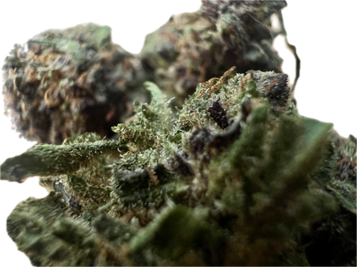 Ripkitty Legendary Platinum OG CBD Hemp Flowers