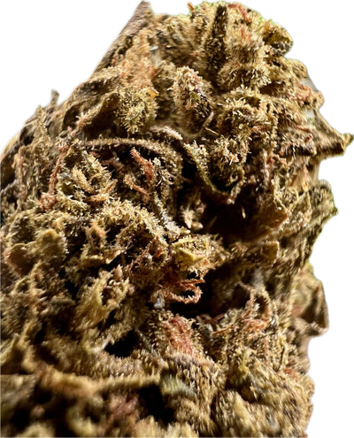 Close-up of Ripkitty Jungle Driver THCA Hemp Flower showcasing tight, frosty structure and vibrant color.