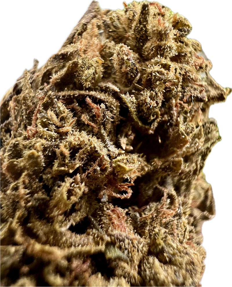Close-up of Ripkitty Jungle Driver THCA Hemp Flower showcasing tight, frosty structure and vibrant color.