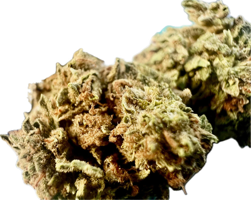 Close-up of Ripkitty Gelato 