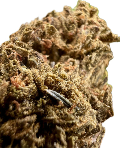 Close-up of Ripkitty Jungle Driver THCA hemp flower showcasing its frosty texture and rich aroma.