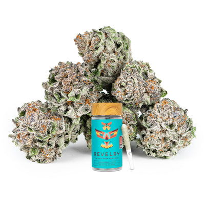 Revelry Lemon Cherry Gelato (LCG) THCA Pre Rolls 14 Pack with cannabis buds and container.