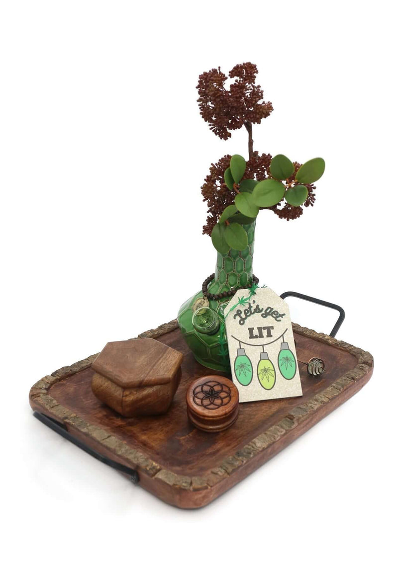 My Bud Vase - Woodland Turtle Set