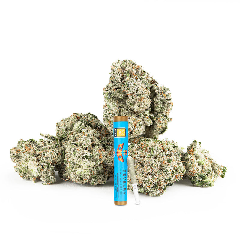 Blue Dream THCA Pre Rolls 2 Pack displayed with premium indoor-grown flower.
