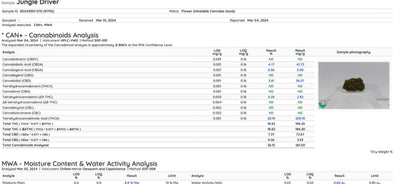 Cannabinoid analysis report for Ripkitty Jungle Driver THCA hemp flower showcasing THC levels and moisture content.