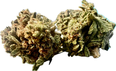 Ripkitty Gelato #33 THCA Hemp Flowers displaying dense, resinous buds with green, purple hues and bright orange hairs.