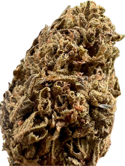 Close-up of Ripkitty Jungle Driver THCA hemp flower showcasing its frosty structure and rich coloration.