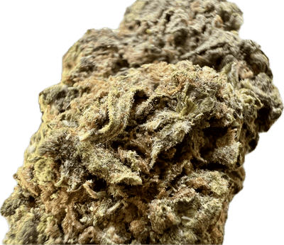Close-up of Ripkitty Runtz OG THCA hemp flower showcasing its rich texture and candy-coated profile.