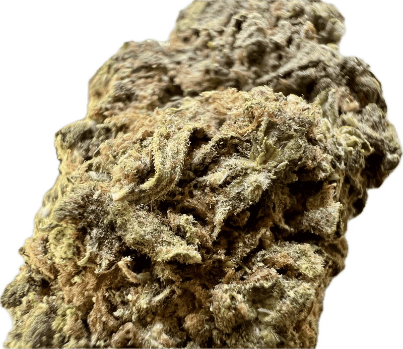 Close-up of Ripkitty Runtz OG THCA hemp flower showcasing its rich texture and candy-coated profile.
