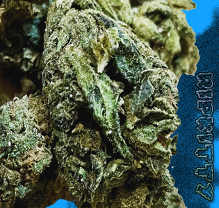 Ripkitty Premium Delta 8 Mango Hemp Flowers 3.5G