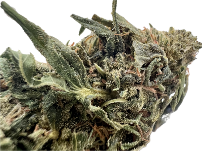 Ripkitty Forbidden V CBD Hemp Flowers