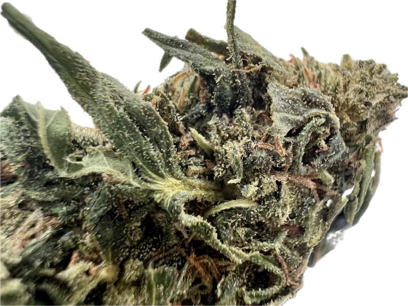 Ripkitty Forbidden V CBD Hemp Flowers