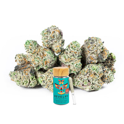 Revelry Georgia Pie THCA Pre Rolls 7 Pack with premium indoor-grown cannabis and pre roll tube.