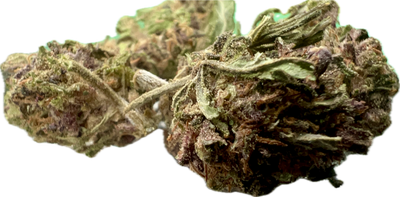 Ripkitty Legendary Platinum OG CBD Hemp Flowers