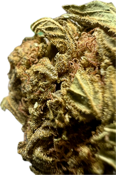 Ripkitty Crack Smuggler THCA Hemp Flowers