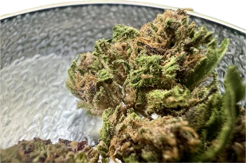 Ripkitty Legendary Platinum OG CBD Hemp Flowers