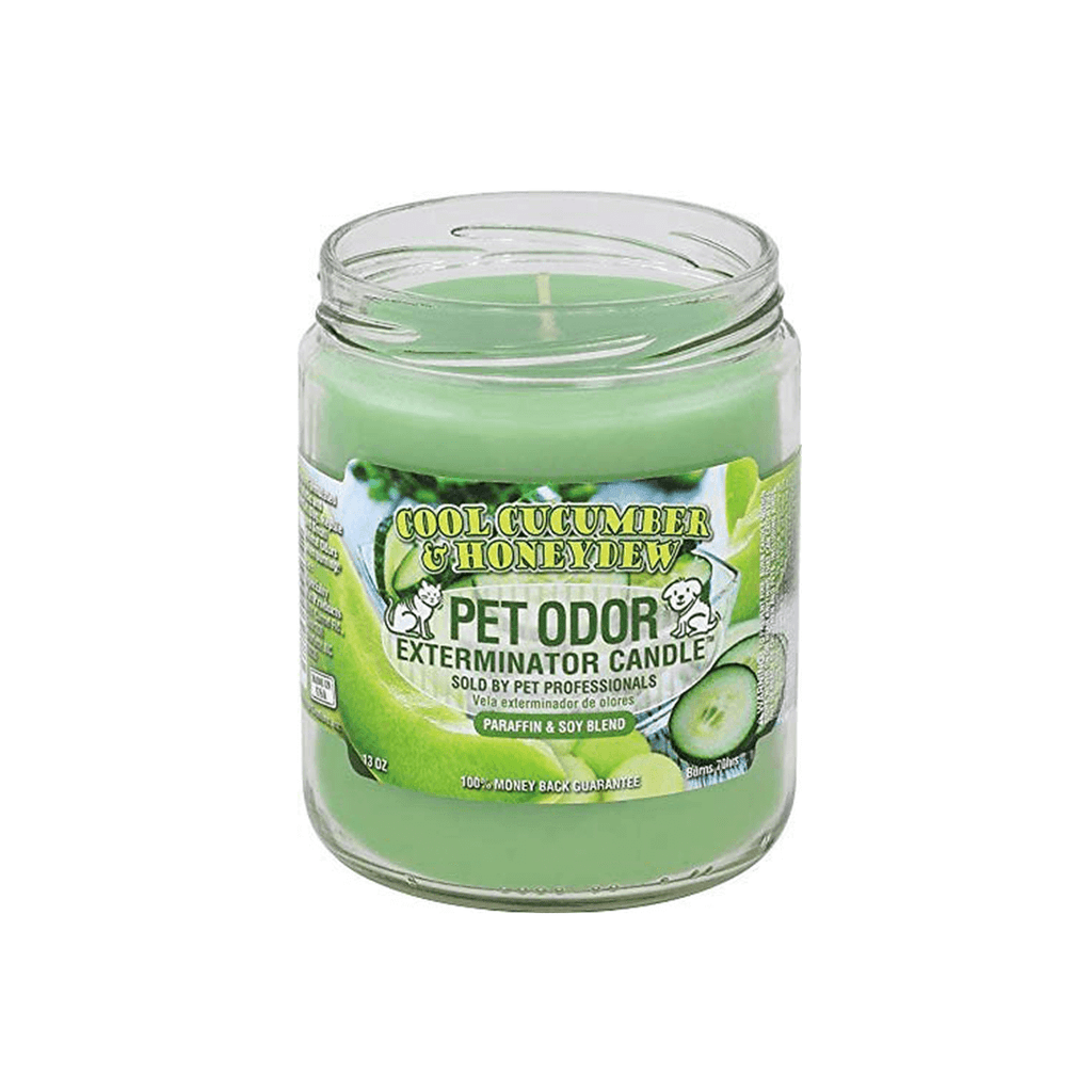 Cool Cucumber & Honeydew Pet Odor Exterminator Candle in a glass jar, neutralizes pet odors with refreshing scents.