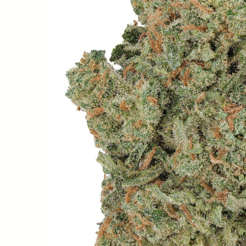 WNC CBD High THCA Indoor Living Soil Flower | 3.5g